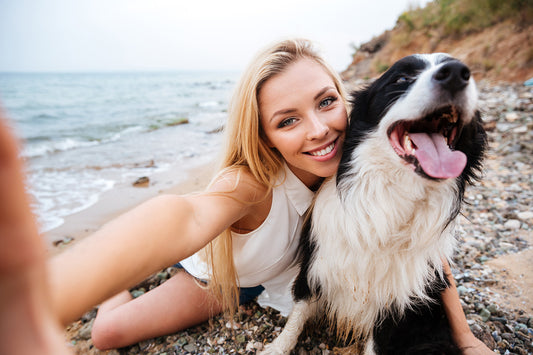 Dog Photography Tips: How to Capture Your Dog’s Best Moments